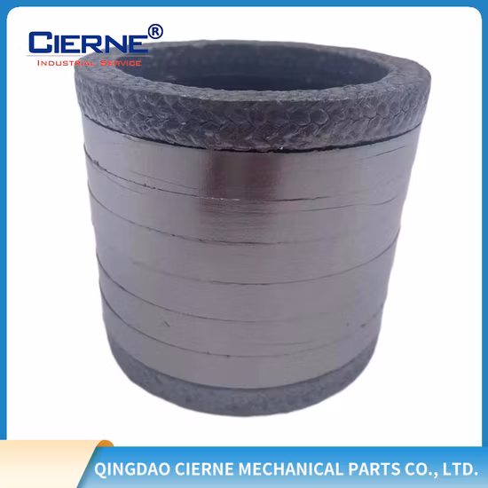 Low Torque Packing Ring, Anti-Pitting Packing Ring, Termostable Packing Ring, Graphite Packing Ring