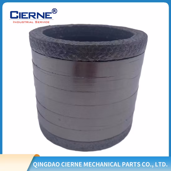 Low Torque Packing Ring, Anti-Pitting Packing Ring, Termostable Packing Ring, Graphite Packing Ring